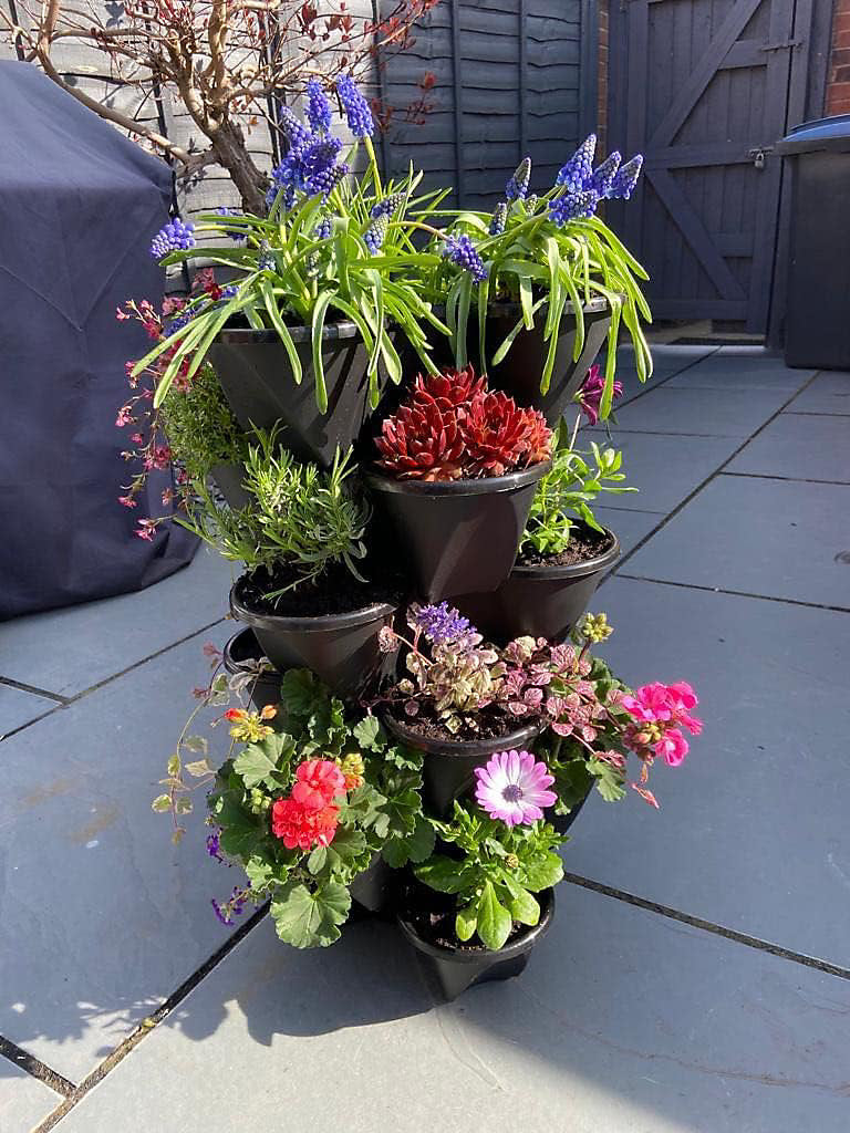 🌿 Vertical Plant Pot – Grow More, Use Less Space!